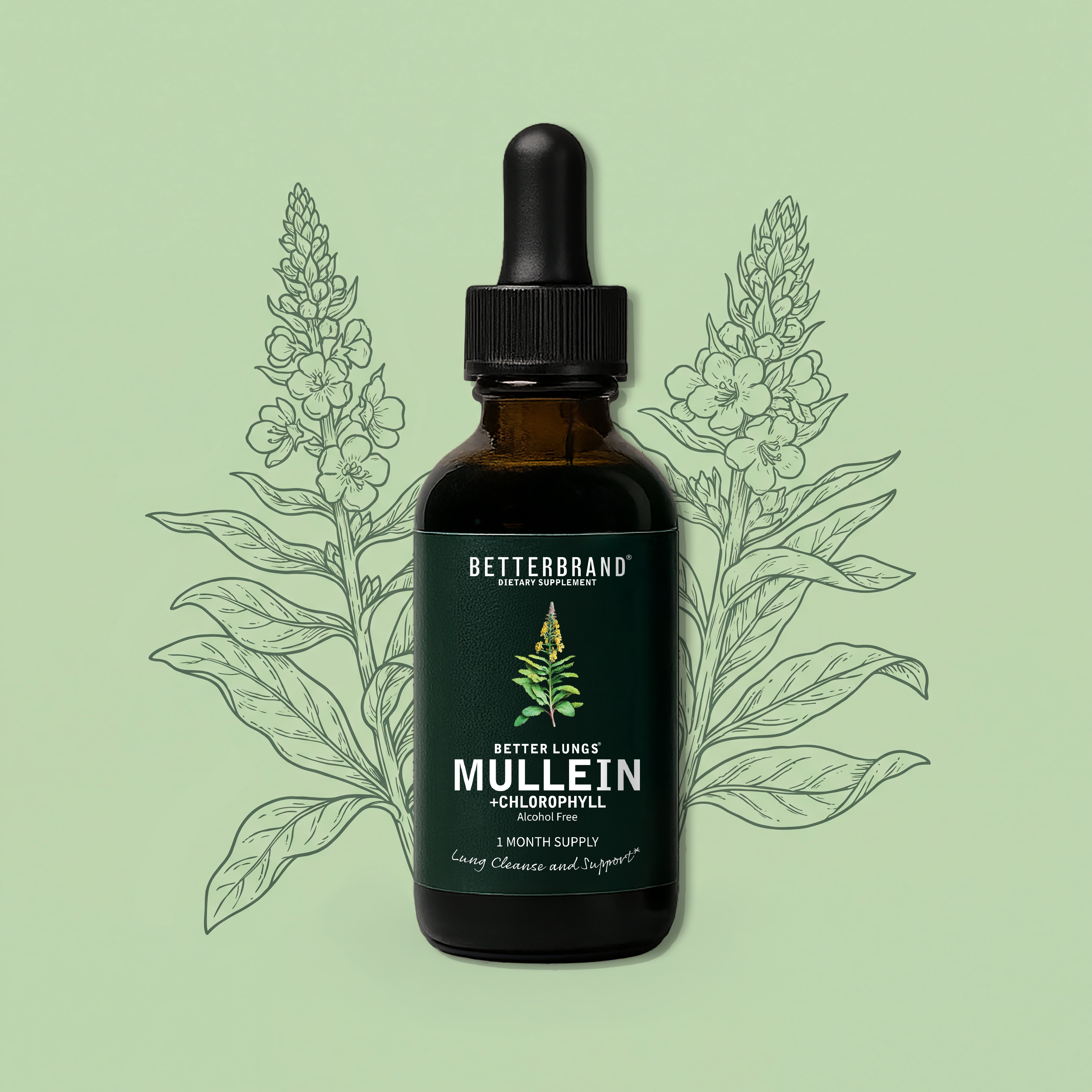 BetterLungs Mullein + Chlorophyll tincture